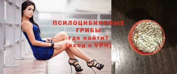 мдма Новодвинск