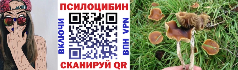 Галлюциногенные грибы мухоморы  Похвистнево 